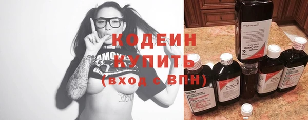 соль ск Инсар