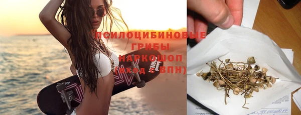 кристаллы Инта