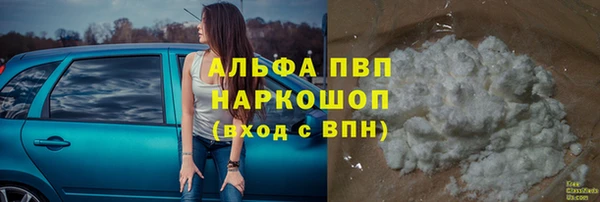 соль ск Инсар