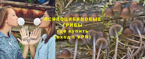 a pvp Иннополис