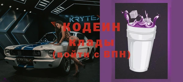 соль ск Инсар