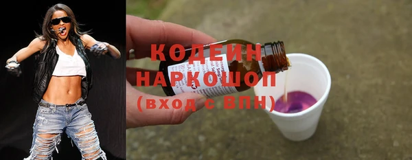 соль ск Инсар