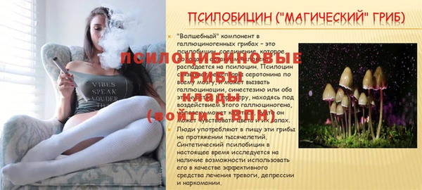 кристаллы Инта