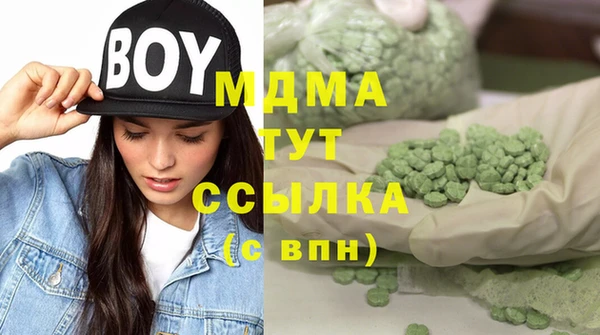 соль ск Инсар