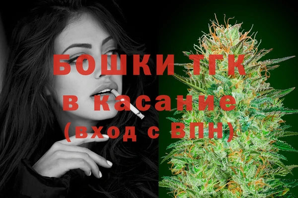 соль ск Инсар