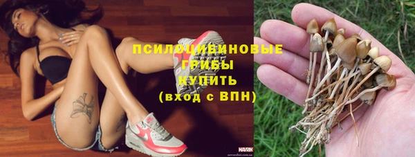 кристаллы Инта