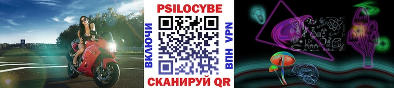 Купить где  Каменногорск  Псилоцибиновые грибы Cubensis 