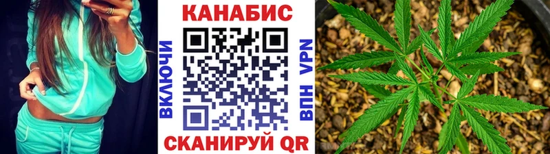 Купить закладки  Каменногорск  Шишки марихуана тримм 
